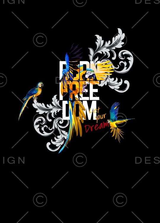 鹦鹉印花华亿平台图片