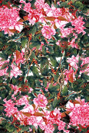 鲜花印花华亿平台图片