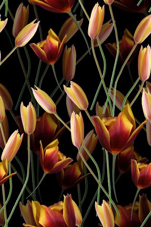 复古印花华亿平台图片