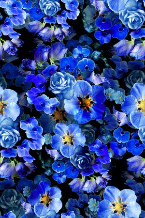 黑底花卉印花华亿平台图片