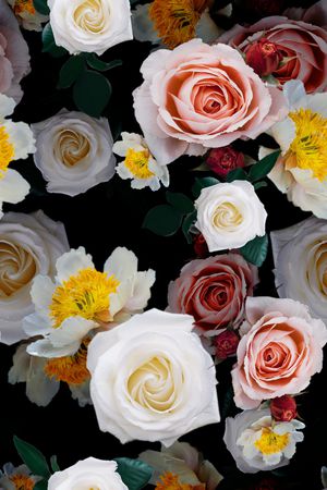 黑底花卉印花华亿平台图片