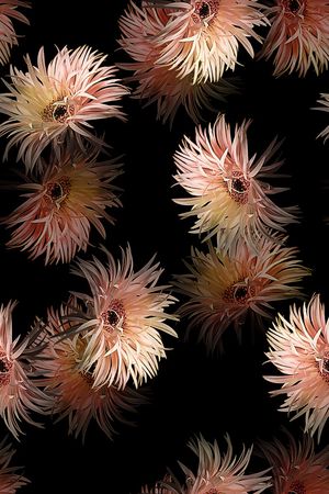 黑底花卉印花华亿平台图片