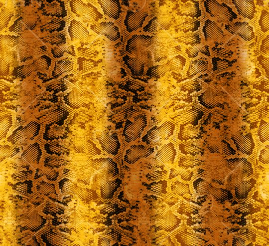 蛇纹印花华亿平台图片