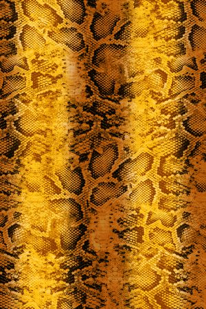 蛇纹印花华亿平台图片