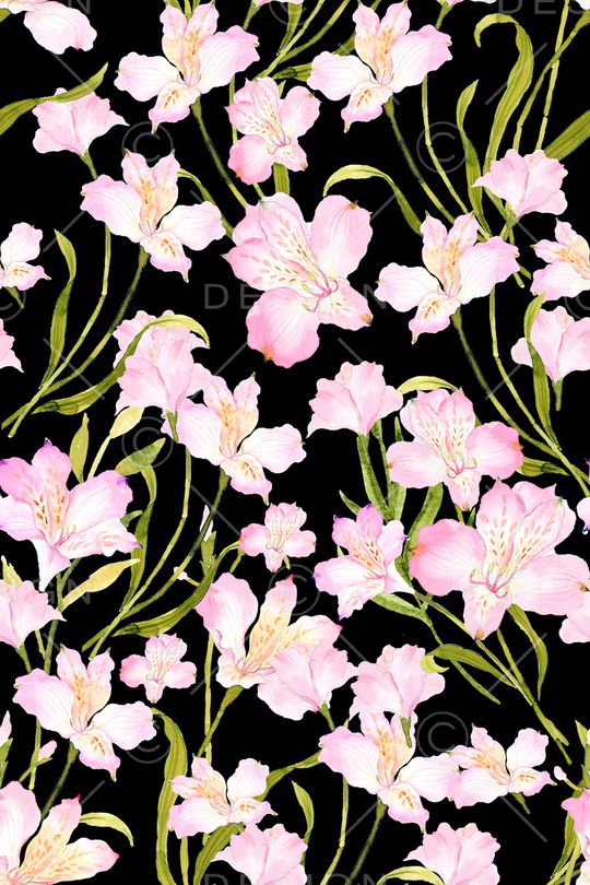 黑底花卉印花华亿平台图片