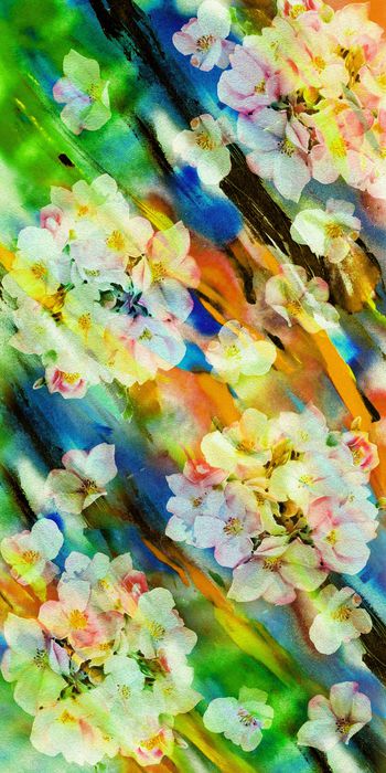 1447092-20215075044-2