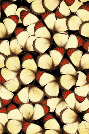 肌理印花华亿平台图片