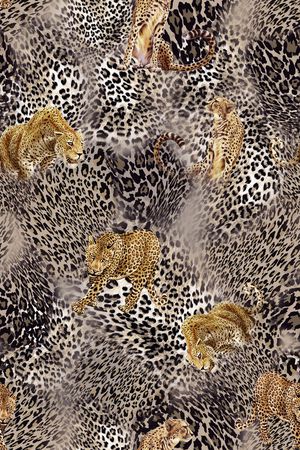 豹纹印花华亿平台图片