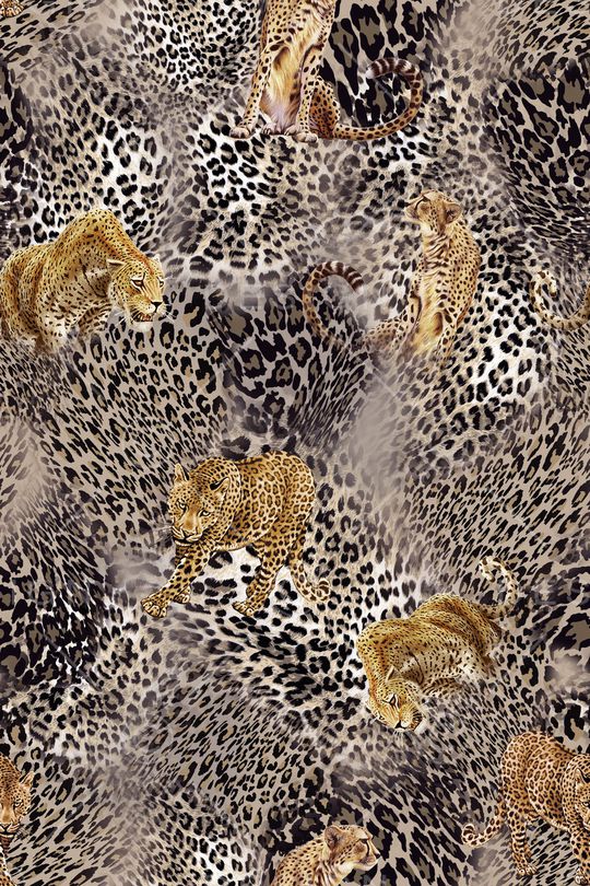 豹纹印花华亿平台图片