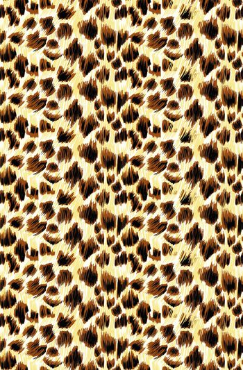 豹纹印花华亿平台图片