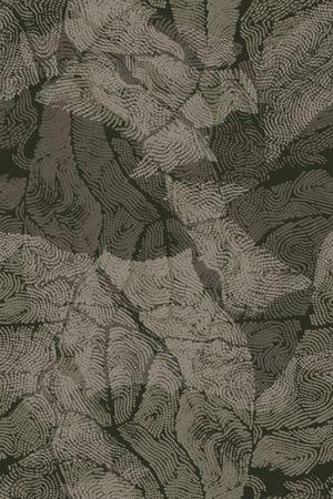 线条印花华亿平台图片