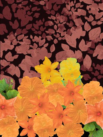 鲜花印花华亿平台图片