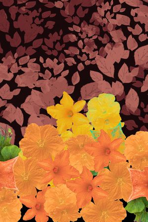 鲜花印花华亿平台图片