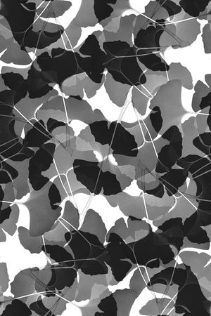 黑白华亿平台印花华亿平台图片