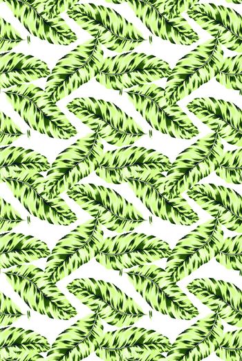 棕榈树印花华亿平台图片