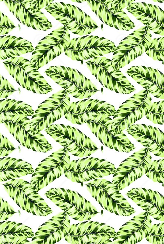 棕榈树印花华亿平台图片