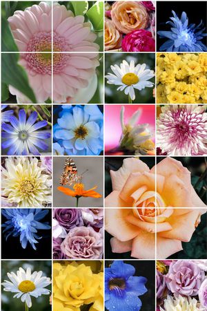 格子印花华亿平台图片