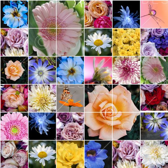 格子印花华亿平台图片