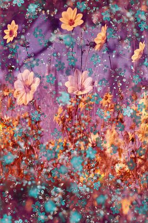 朦胧花卉印花华亿平台图片