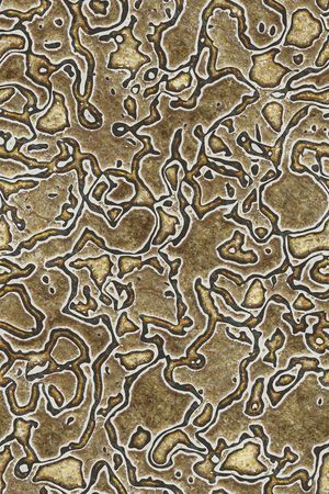 肌理印花华亿平台图片