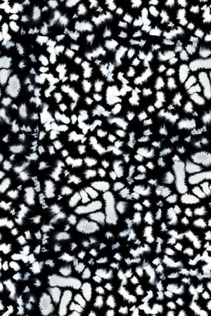 黑白华亿平台印花华亿平台图片