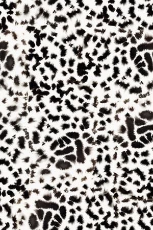 黑白华亿平台印花华亿平台图片