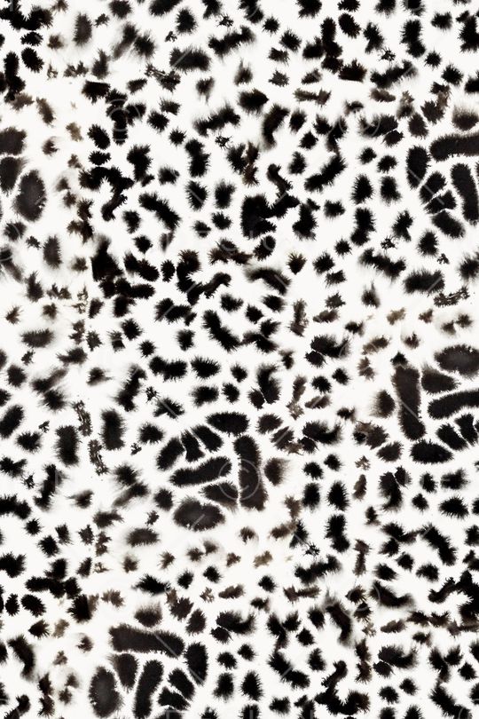 黑白华亿平台印花华亿平台图片