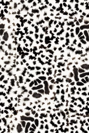 黑白华亿平台印花华亿平台图片