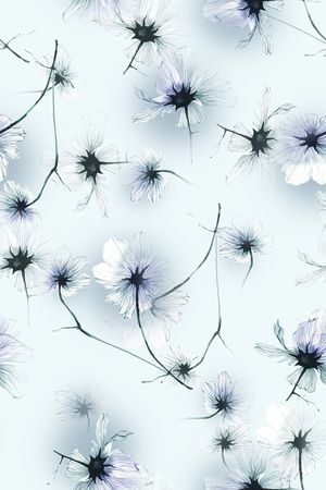 清爽底花卉印花华亿平台图片