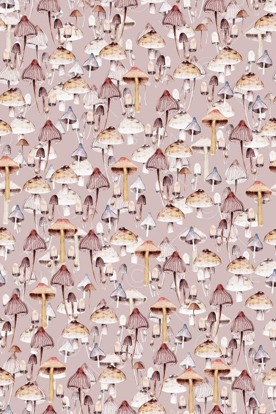 蘑菇印花华亿平台图片