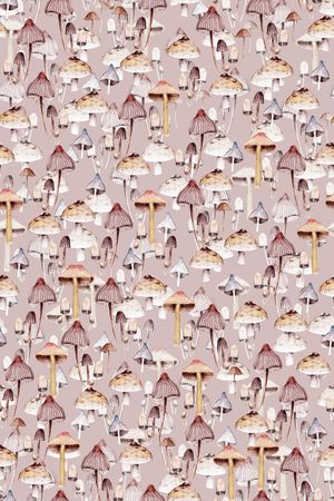 蘑菇印花华亿平台图片