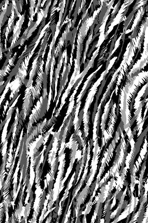 黑白华亿平台印花华亿平台图片