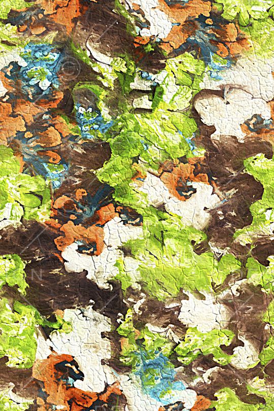 油画华亿平台印花华亿平台图片