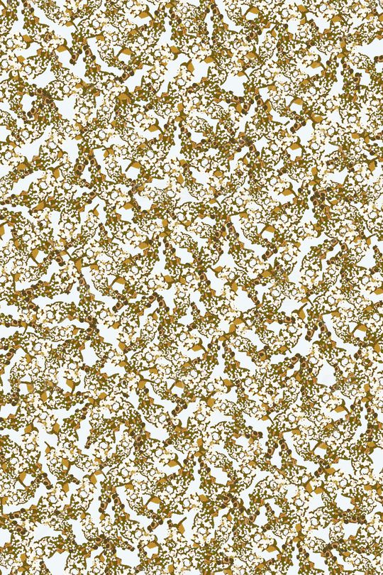 日韩印花华亿平台图片