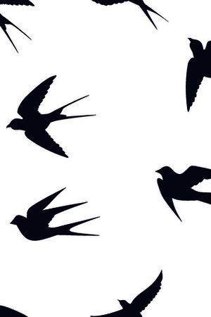 动物花卉印花华亿平台图片