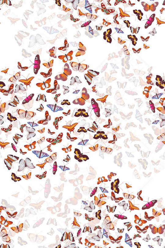 动物印花华亿平台图片