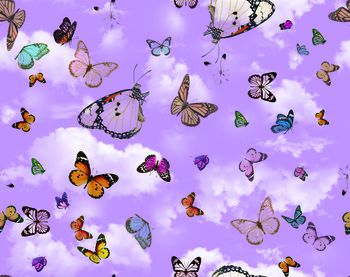 1451347-女装-衬衣-蝴蝶-紫色A1