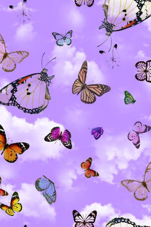 花卉蝴蝶印花华亿平台图片