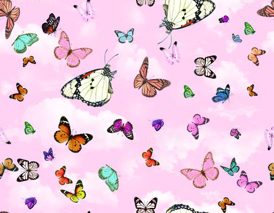 花卉蝴蝶印花华亿平台图片