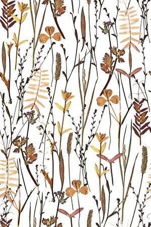 植物印花华亿平台图片