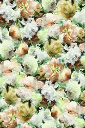 渐变印花华亿平台图片