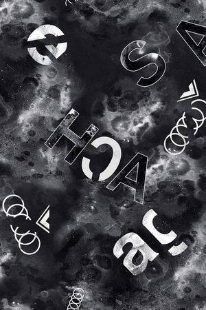 字母印花华亿平台图片