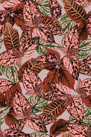 绿植树叶印花华亿平台图片