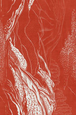 女装定位花印花华亿平台图片