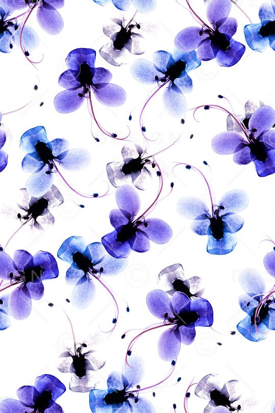 绿植树叶印花华亿平台图片