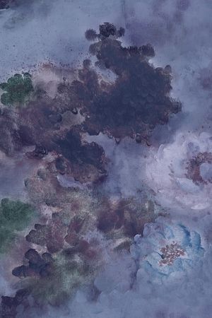 DIOR印花华亿平台图片