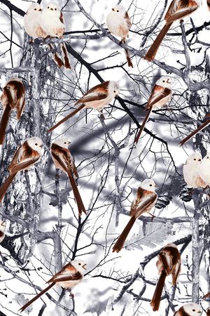 字母印花华亿平台图片