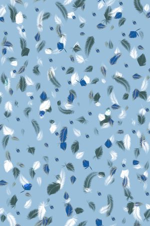 羽毛印花华亿平台图片