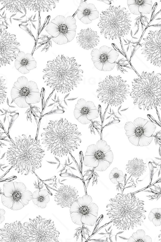 黑白华亿平台印花华亿平台图片