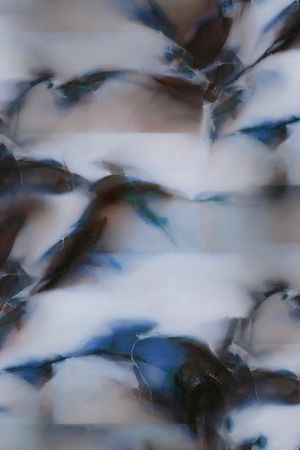 线条印花华亿平台图片